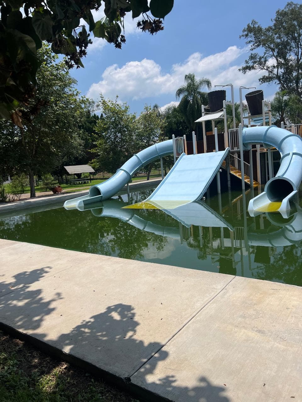 Alberca con agua verde por falta de mantenimiento, antes del reacondicionamiento